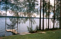 manty-6